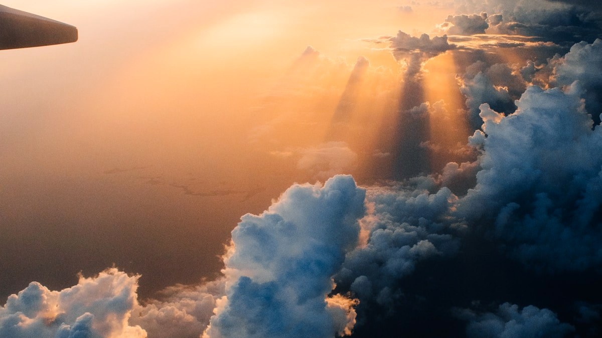 2 Eggs Scrambled Nutrition: What My Simple Breakfast Actually Gives Me