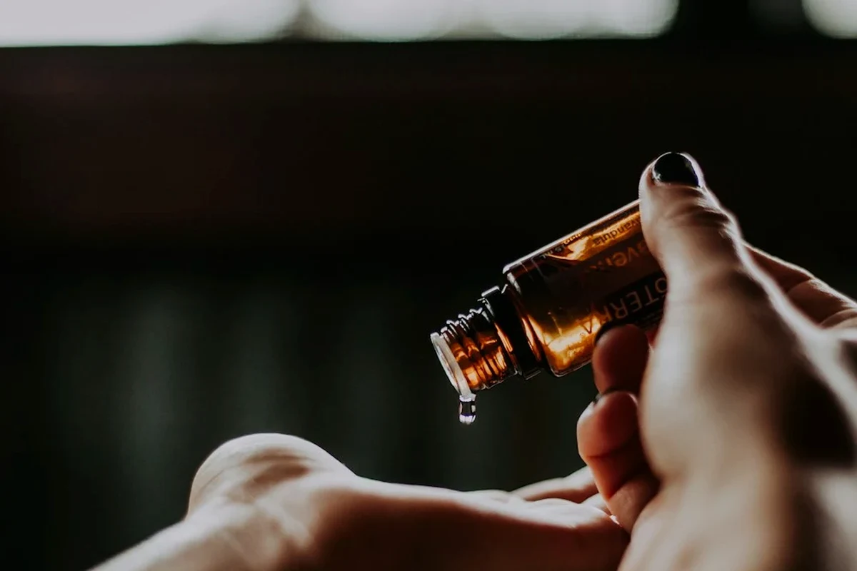 New England Fall Road Trip: My Cozy Route for Color, Cider, and Small Towns photographed in warm natural light