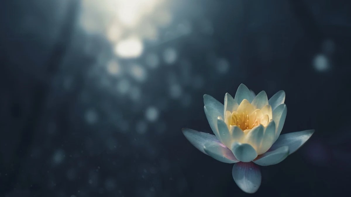 Paris Soft Travel Itinerary: A Slower, More Romantic Way to See the City photographed in warm natural light