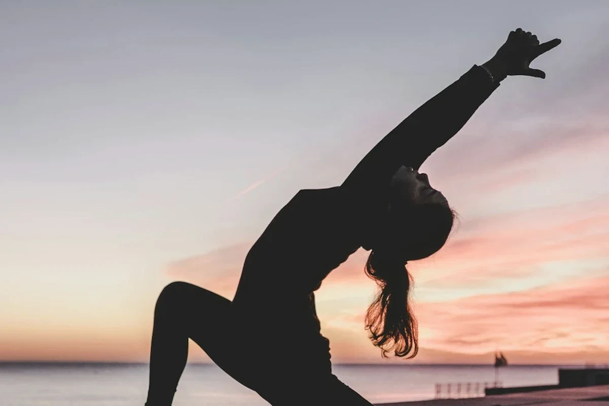 Wellness Nest Shilajit: My Honest Beginner Guide photographed in warm natural light
